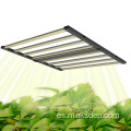 600W 8BAR 301H 301B Luz de cultivo de planta verde